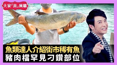 鐵甲魚價格|香港街市魚類海鮮研究社